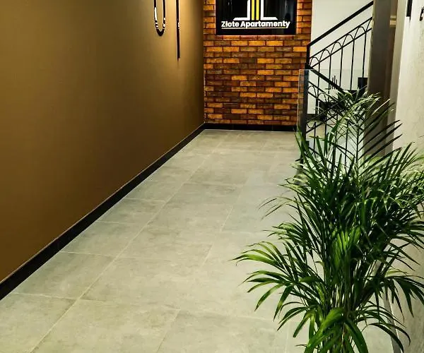 Zlote 36 * 莱格尼察